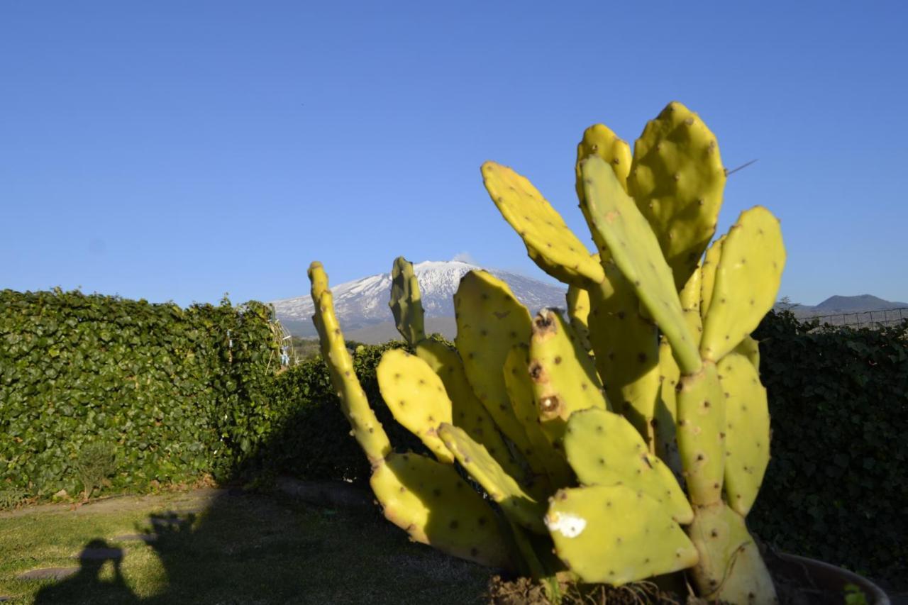 Bed and Breakfast Good Morning Etna à Bronte Extérieur photo