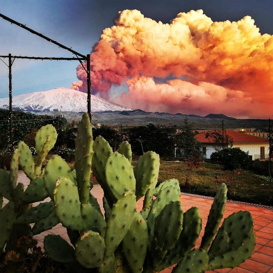 Bed and Breakfast Good Morning Etna à Bronte Extérieur photo